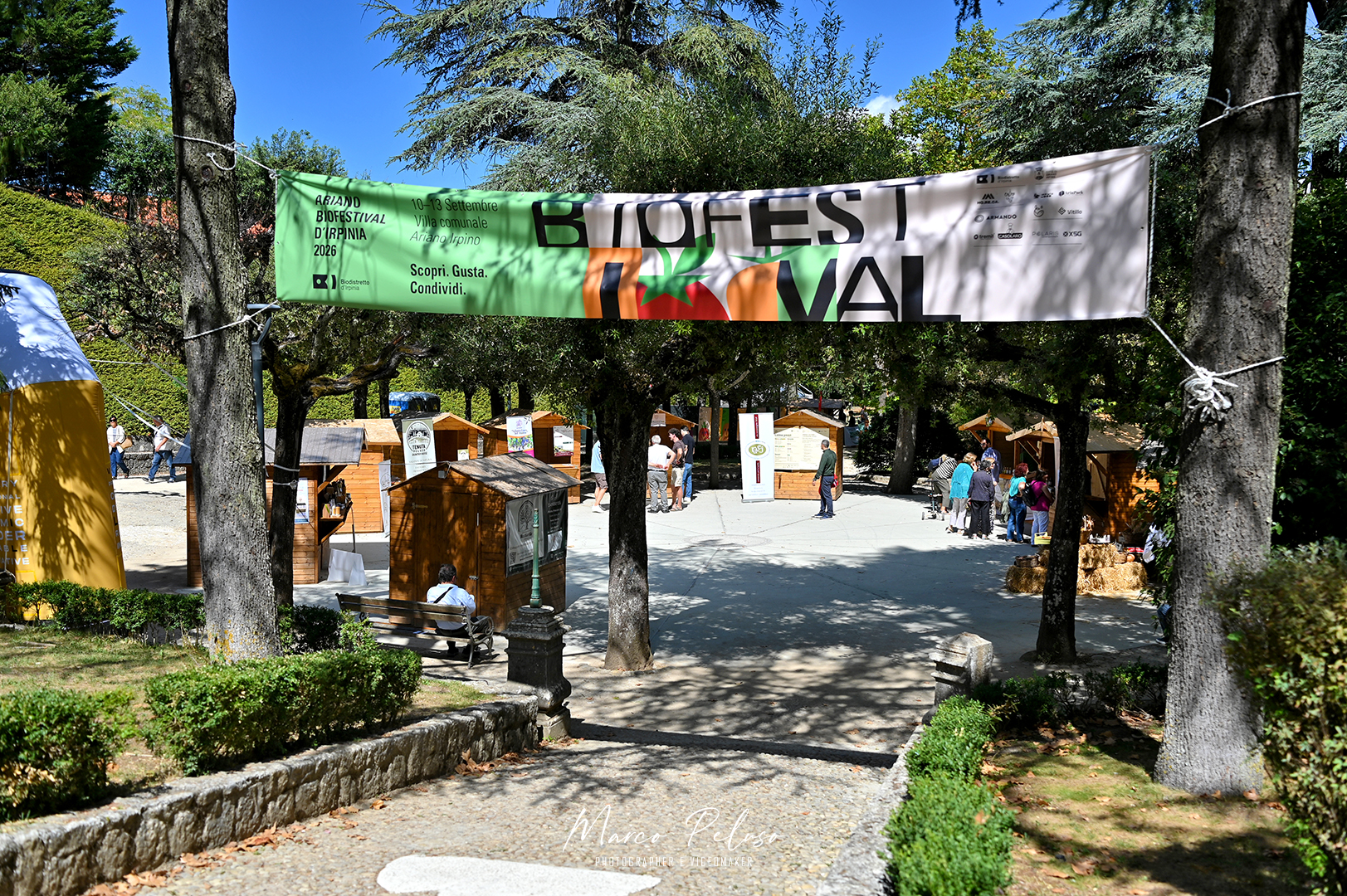 Guarda tutta la gallery